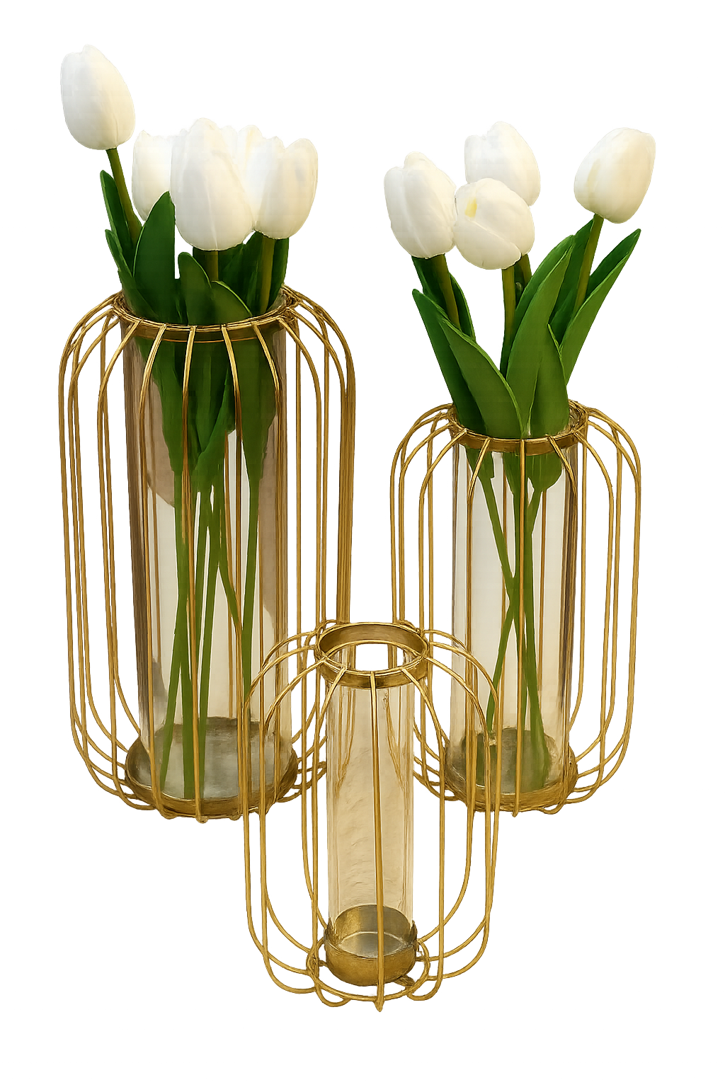 Golden Cage Tulip Vase Set